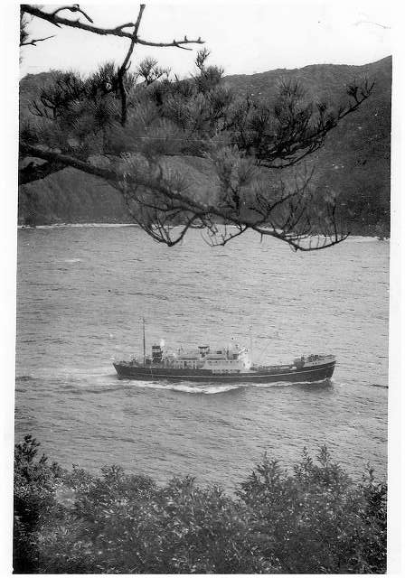 写真 No.107「松と船」