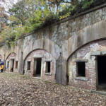 Thumbnail of post image 108